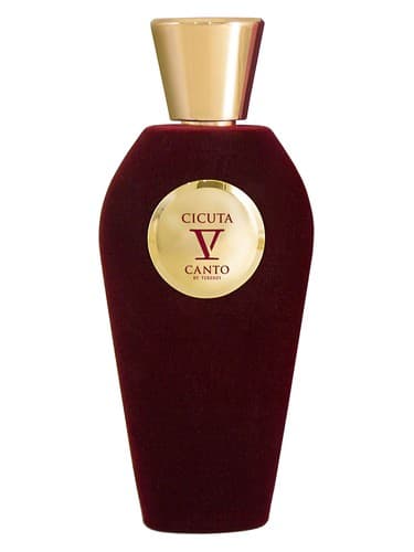 Cicuta