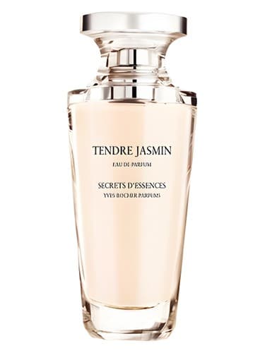 Tendre-Jasmin