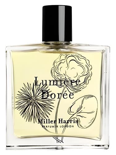 Lumiere-Doree