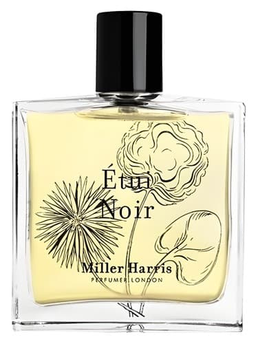 Etui-Noir