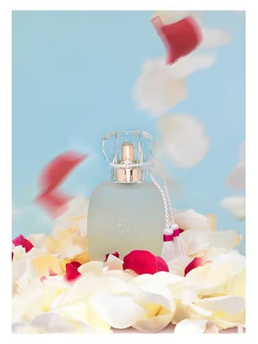 Un-Zephir-De-Rose