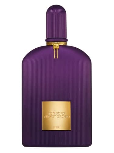 Velvet-Orchid-Lumiere