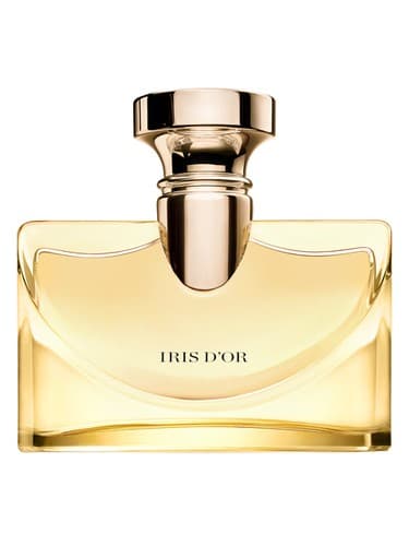 Splendida-Iris-D-Or