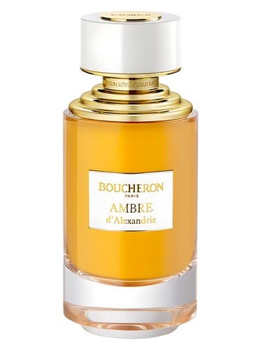 Ambre-D-Alexandrie