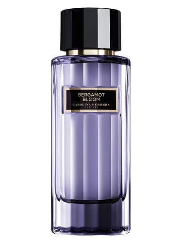 Bergamot-Bloom