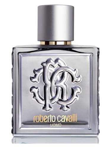 Roberto-Cavalli-Uomo-Silver-Essence