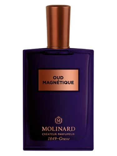 Oud-Magnetique