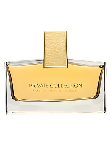 Private-Collection-Amber-Ylang-Ylang