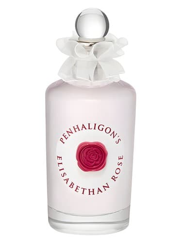 Elisabethan-Rose