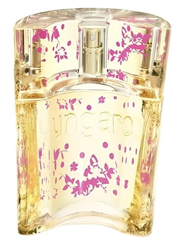 Ungaro-Party