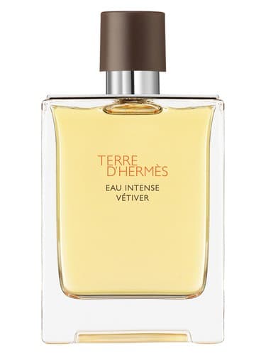 Terre-D-Hermes-Eau-Intense-Vetiver