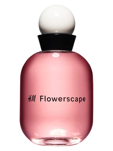 H-M-Flowerscape