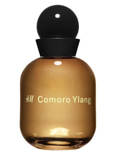 H-M-Comoro-Ylang