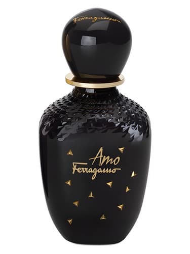 Amo-Ferragamo-Limited-Edition
