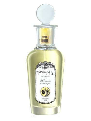 Tul-Pan-I-Mimoza-Tulip-And-Mimosa