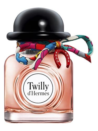 Charming-Twilly-D-Hermes