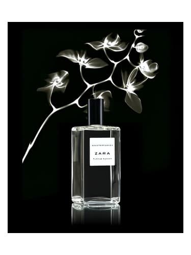 Flor-De-Azahar