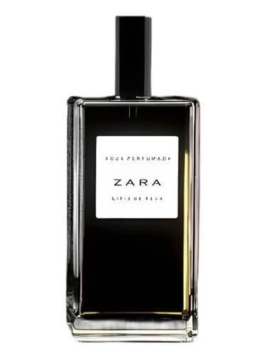 Lirio-De-Agua