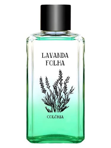 Lavanda-Folha
