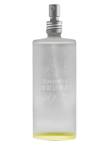 Bergamota-Flor-De-Laranjeira