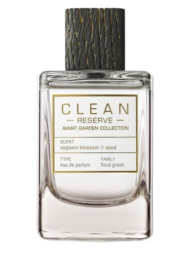 Saguaro-Blossom-Sand