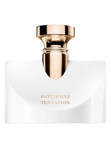 Splendida-Patchouli-Tentation