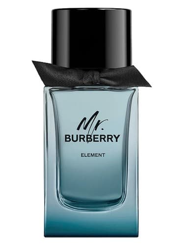 Mr-Burberry-Element
