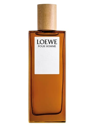 Loewe-Pour-Homme