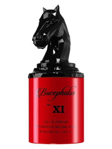 Bucephalus-Xi