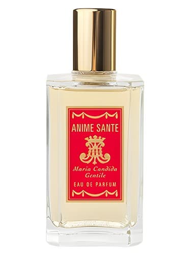 Anime-Sante