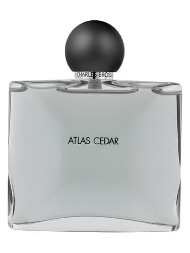 Atlas-Cedar