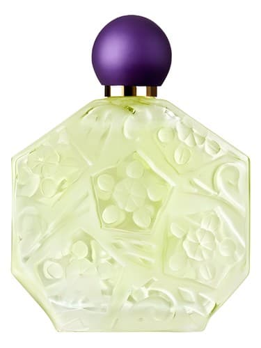 Fleurs-D-Ombre-Violette-Menthe