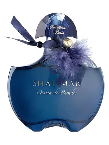 Shalimar-Oiseau-De-Paradis
