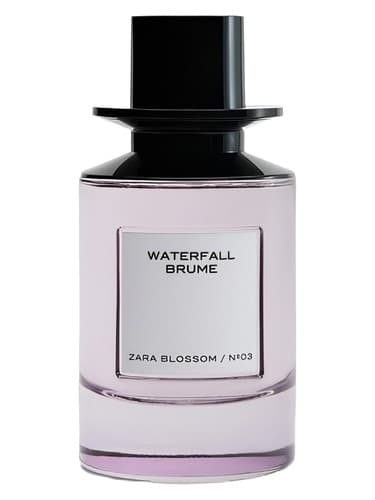 N003-Waterfall-Brume