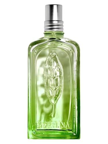 Verveine-Cactus