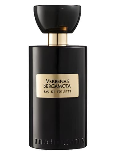 Verbena-E-Bergamota
