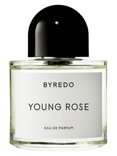 Young-Rose