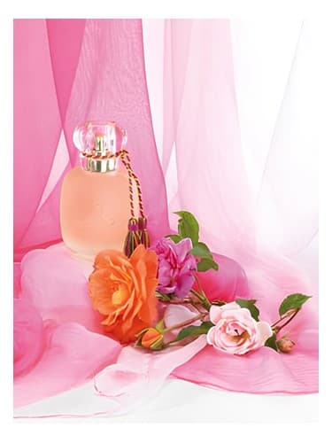 Rose-Kashmirie