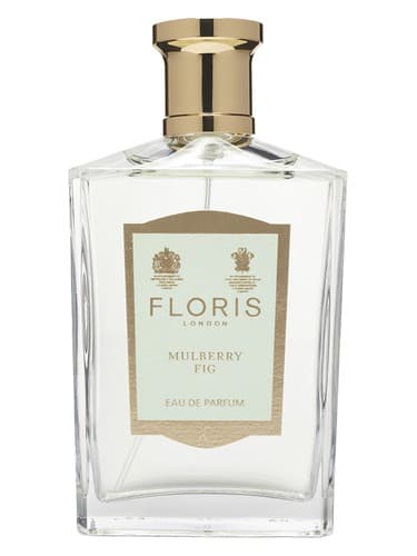 Mulberry-Fig