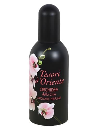 Orchidea-Della-Cina
