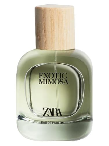 Exotic-Mimosa