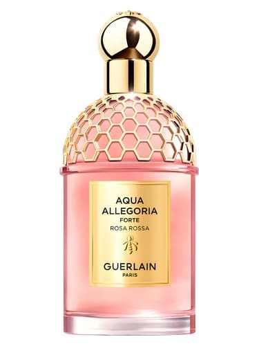 Aqua-Allegoria-Forte-Rosa-Rossa