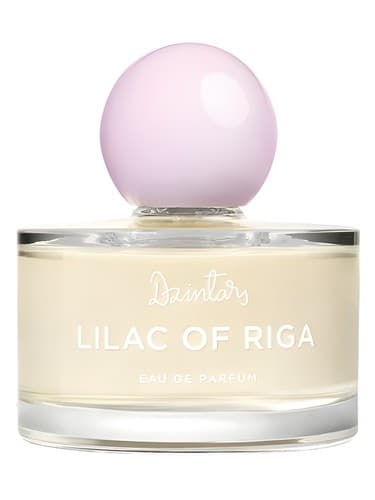 Lilac-Of-Riga-Rizskaa-Siren-2022