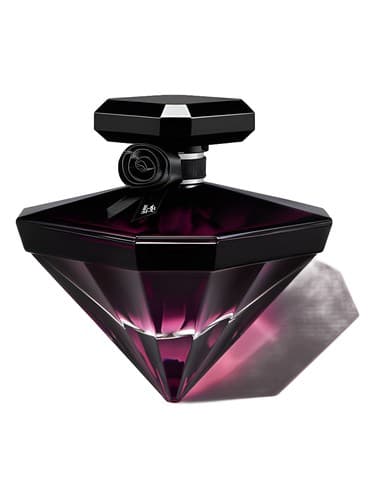 La-Nuit-Tresor-Fleur-De-Nuit