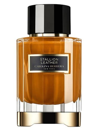 Stallion-Leather