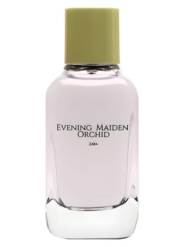 Evening-Maiden-Orchid