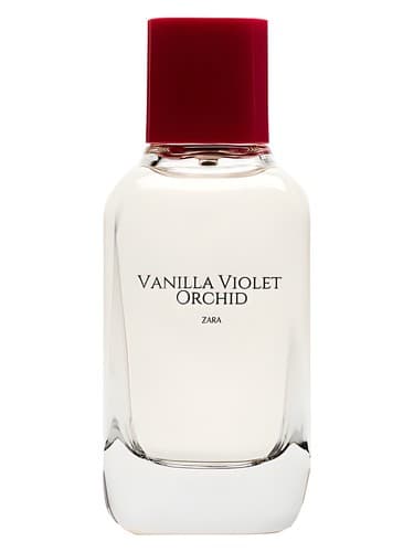 Vanilla-Violet-Orchid
