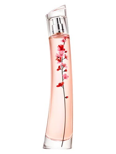 Flower-Ikebana-Sakura