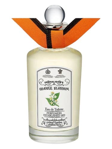 Orange-Blossom
