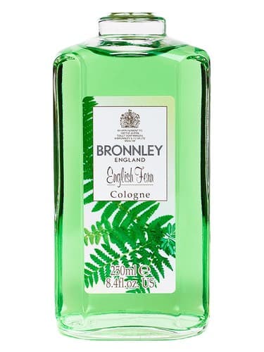 English-Fern